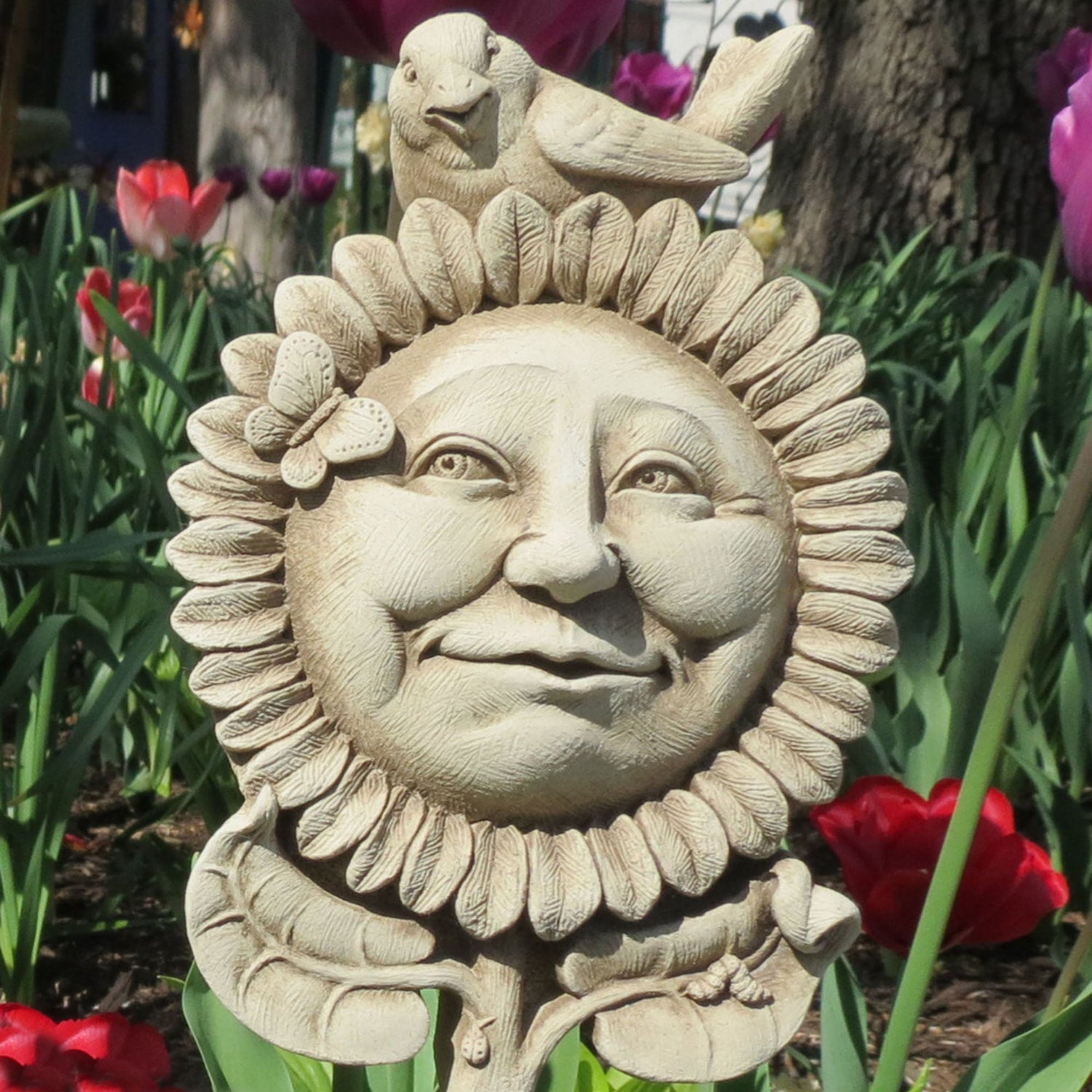 Collections Carruth Studio