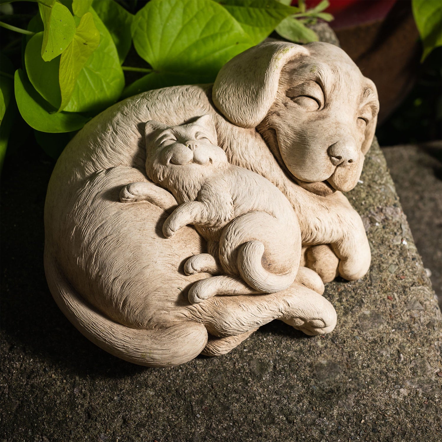 Carruth Studio - Photo 3