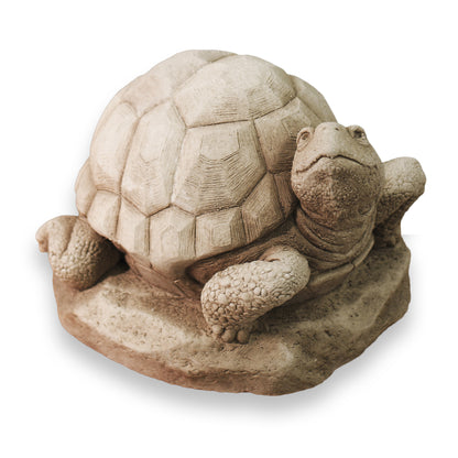 William Turtle
