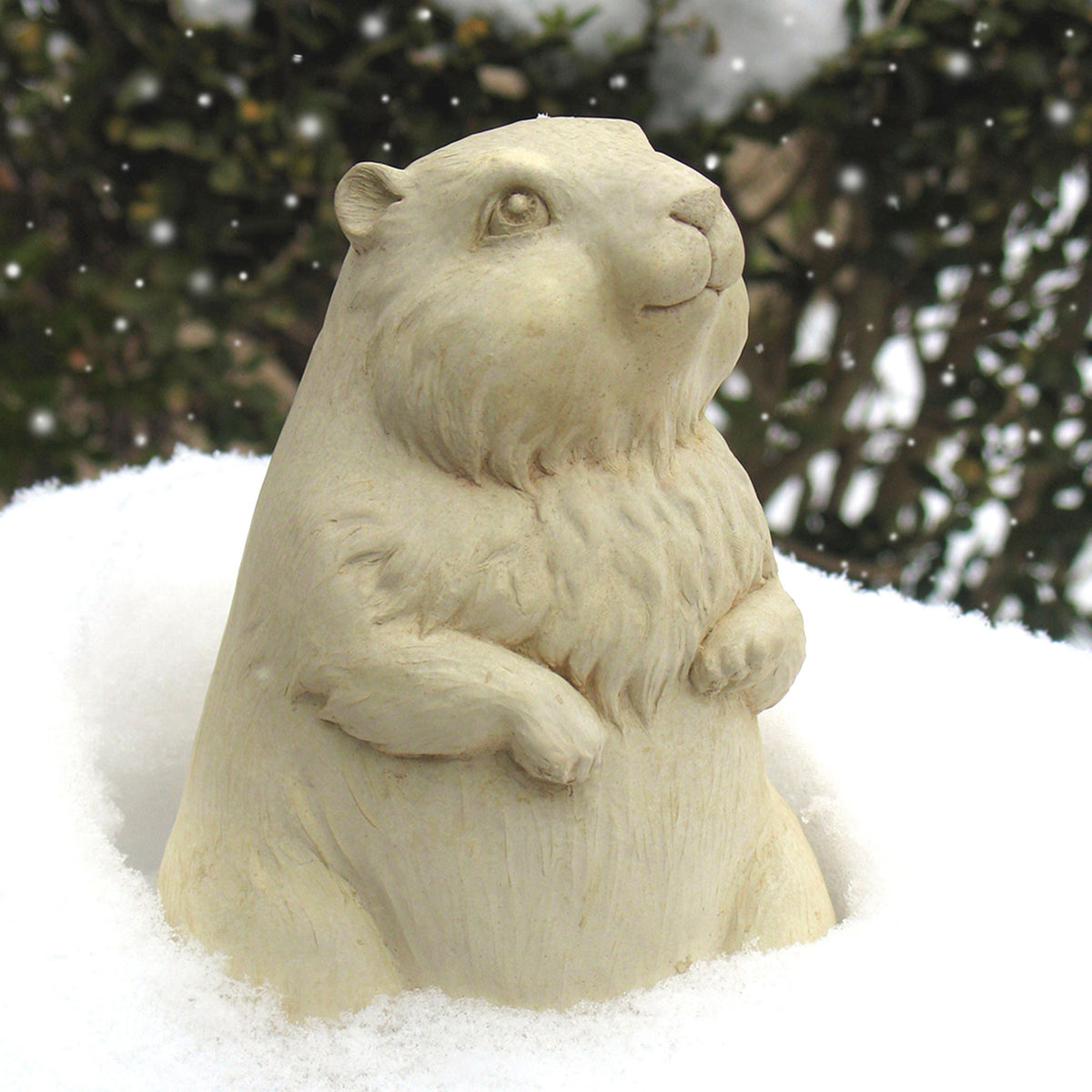 Gordy Groundhog – Carruth Studio
