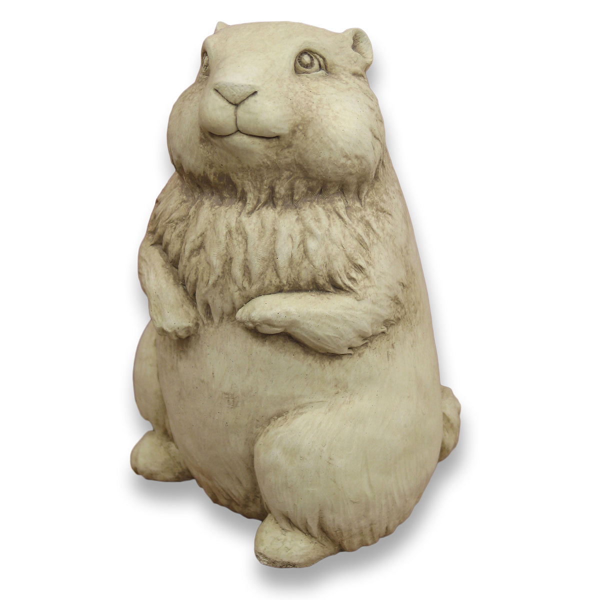 Gordy Groundhog – Carruth Studio