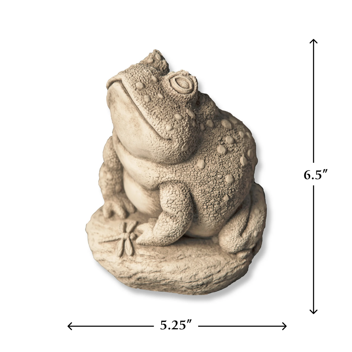 Angus the Toad