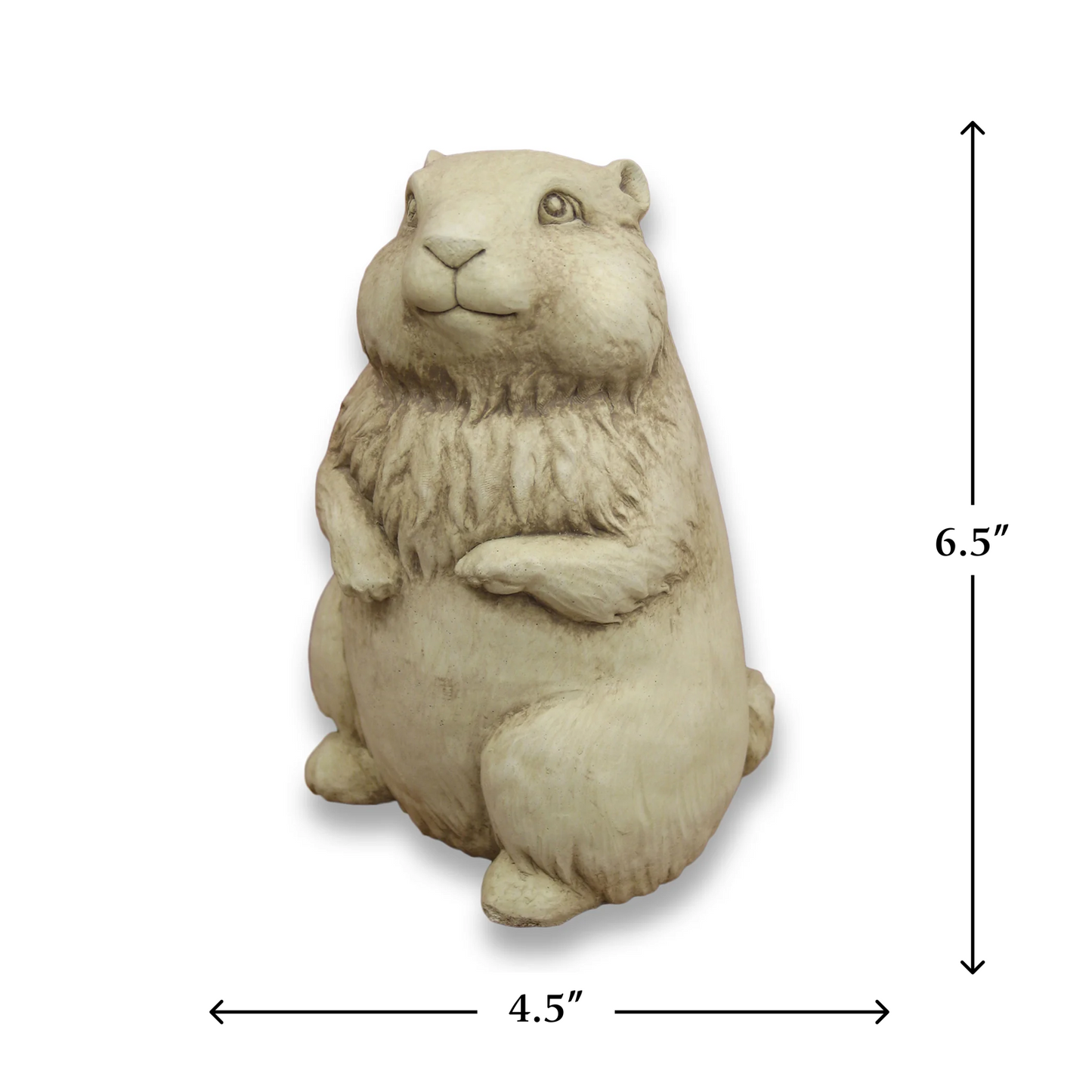 Gordy Groundhog