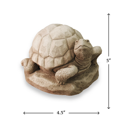 William Turtle