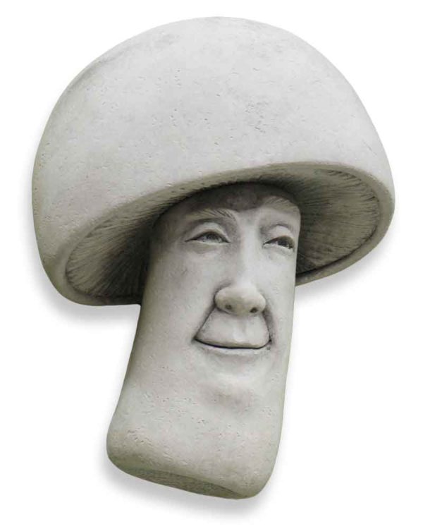 Mushroom with Man's Face