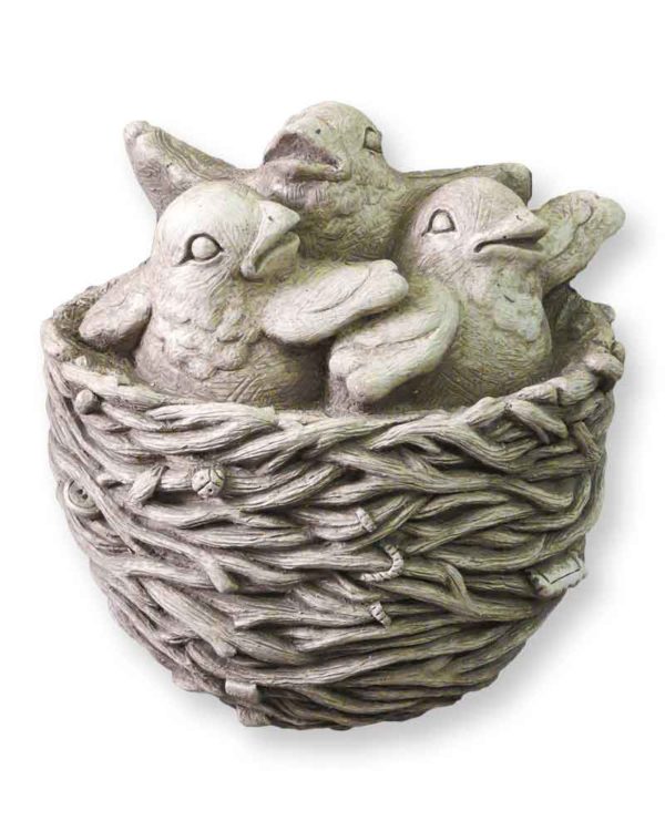 Fledglings in a Nest