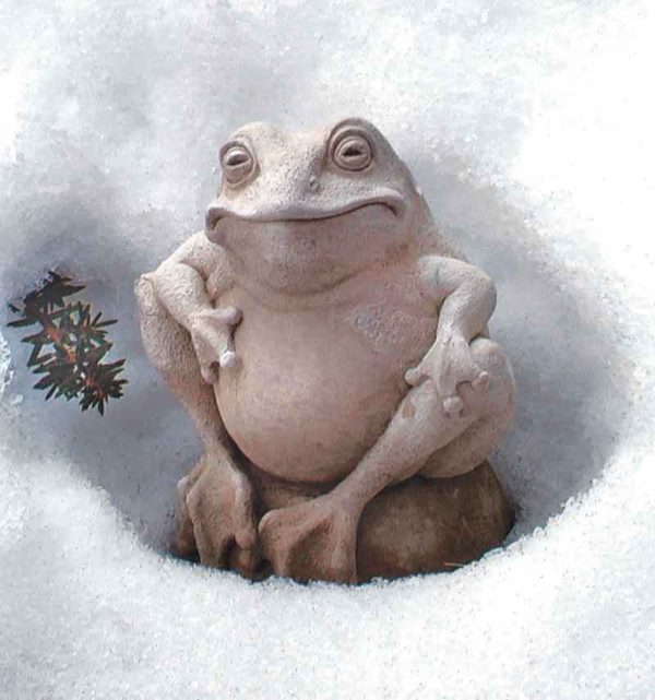 Frog On A Ball In Snow