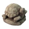 William Turtle - Aged Stone