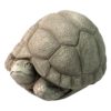 Turtle Toddler - Aged Stone