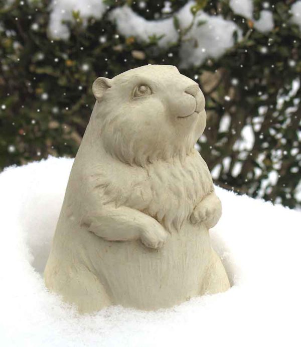 Gordy Groundhog in the Snow