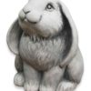Floppy-Eared Bunny