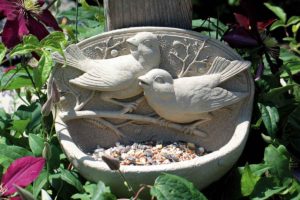 Bird Baths & Feeders